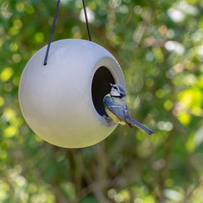 Lot de 4 mangeoires à oiseaux rondes, Je commande !