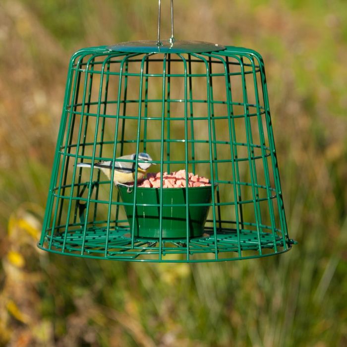 Cage oiseaux en plastique avec mangeoire - La Ferme de Manon