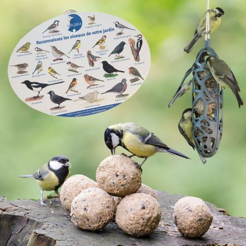 Faire des boules de graisse pour les oiseaux - PagesJaunes